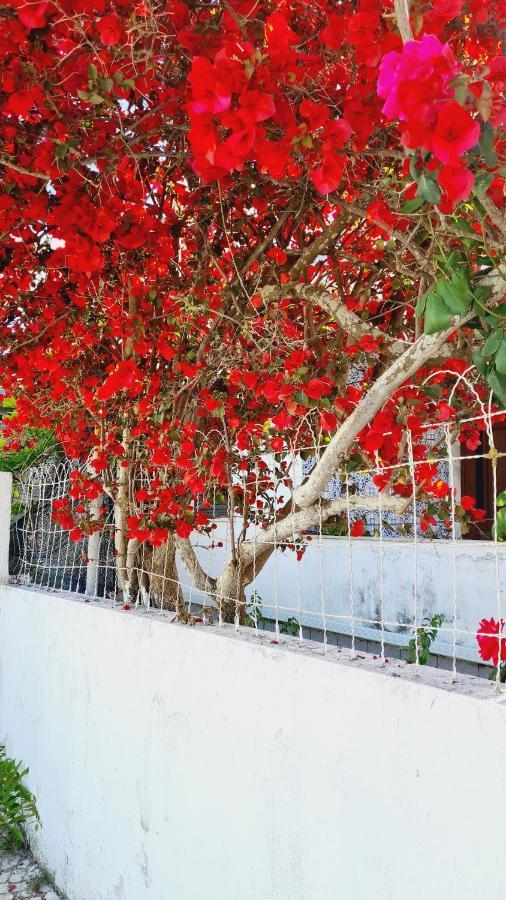 Arrabida Cozy House Villa Palmela Exterior foto